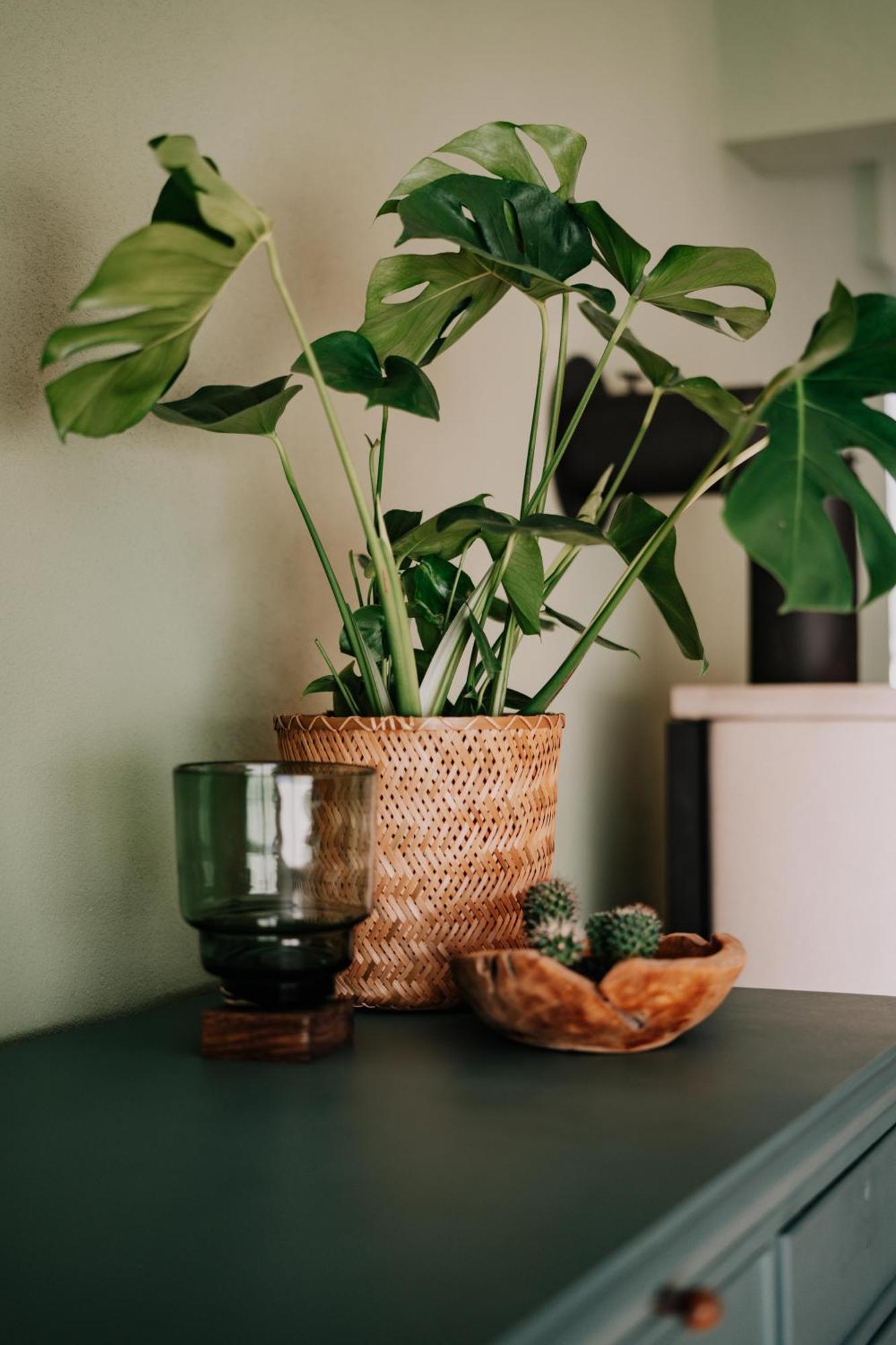 Apartment Soonwald Loft I Garten I Kamin I Riesige Wohnkueche Stromberg (Hunsrueck)